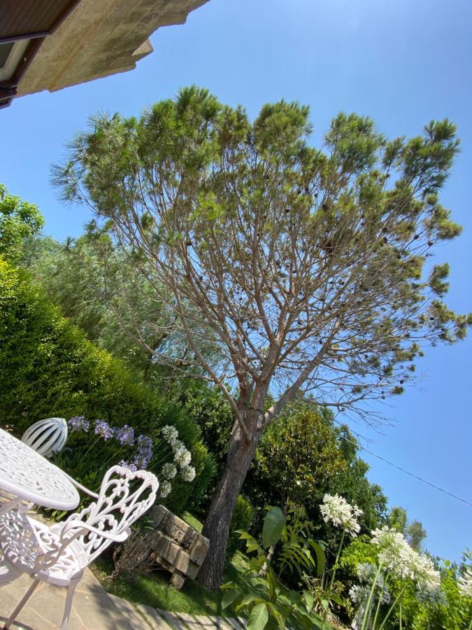 Il Lusso Del Silenzio Guest house