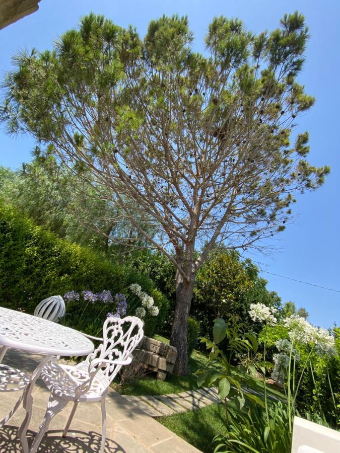 Guest house Il Lusso Del Silenzio 2*